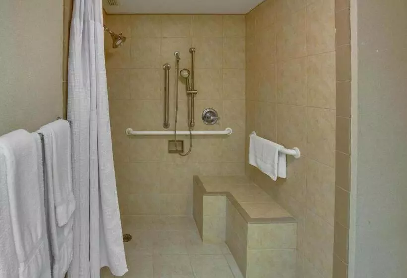 اتاق استاندارد با تخت بزرگ برای معلولان, Crowne Plaza Executive Center Baton Rouge, An Ihg