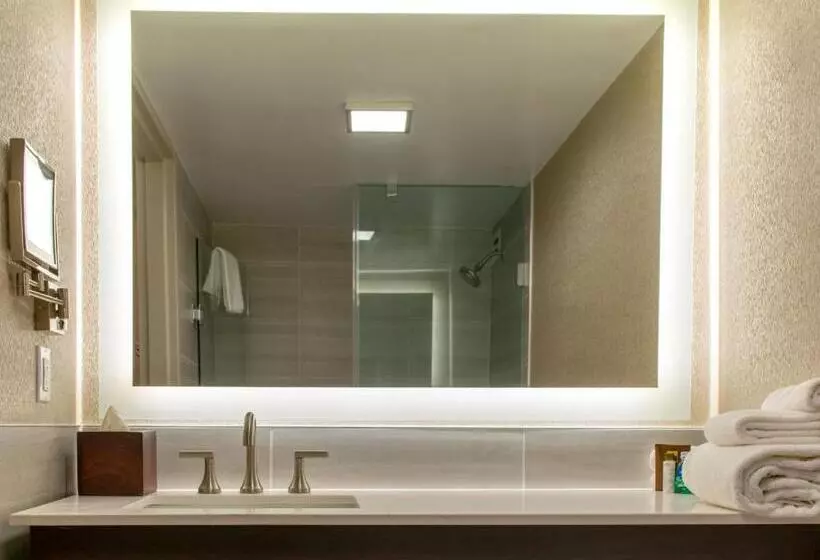 اتاق استاندارد با تخت دوبل, Crowne Plaza Executive Center Baton Rouge, An Ihg