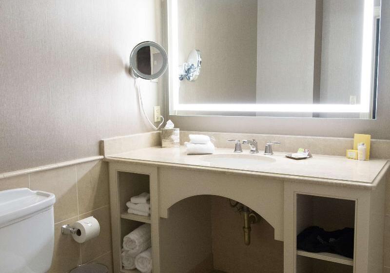 Номер Стандарт Кровать Кинг Адаптированный для Инвалидов, Days Inn By Wyndham Goldsboro