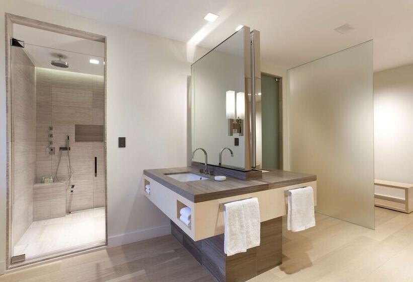 带城市景观的套间, Hyatt Grand Central New York