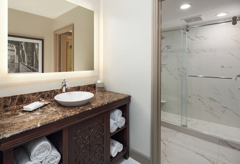 스탠다드 룸 더블 침대 2개, Hyatt Regency Coral Gables In Miami