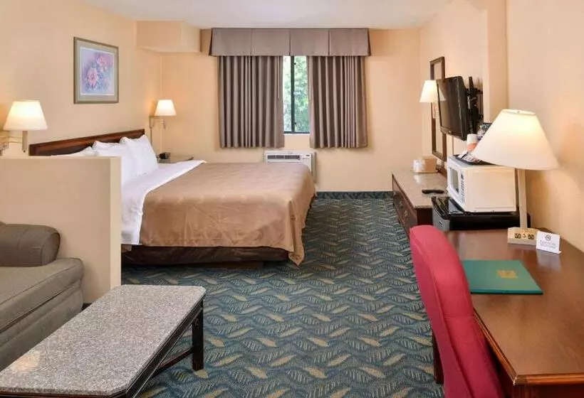اتاق استاندارد با تخت بزرگ, Quality Inn & Suites Walnut City Of Industry