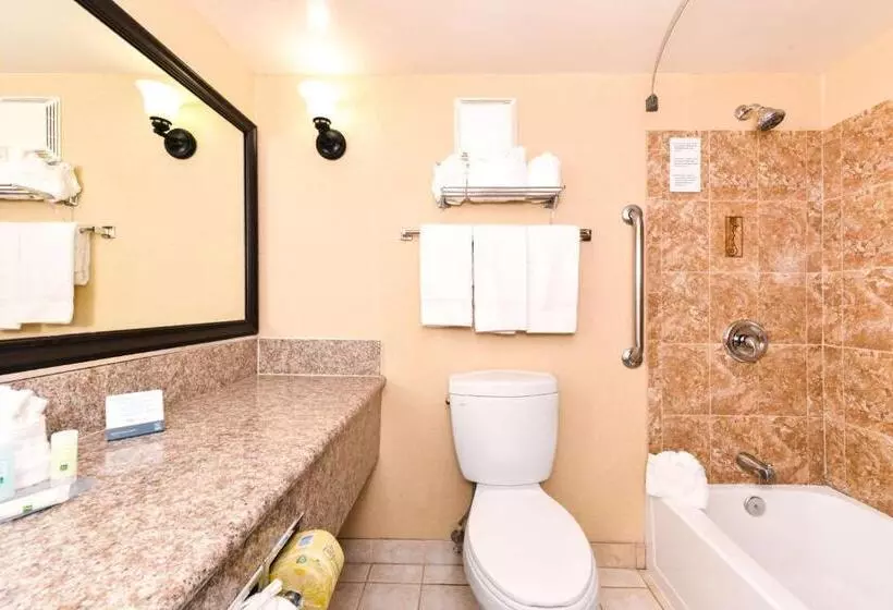 سوئیت با تخت بزرگ, Quality Inn & Suites Walnut City Of Industry