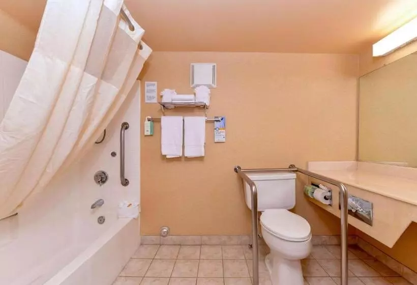 اتاق استاندارد با تخت بزرگ برای معلولان, Quality Inn & Suites Walnut City Of Industry