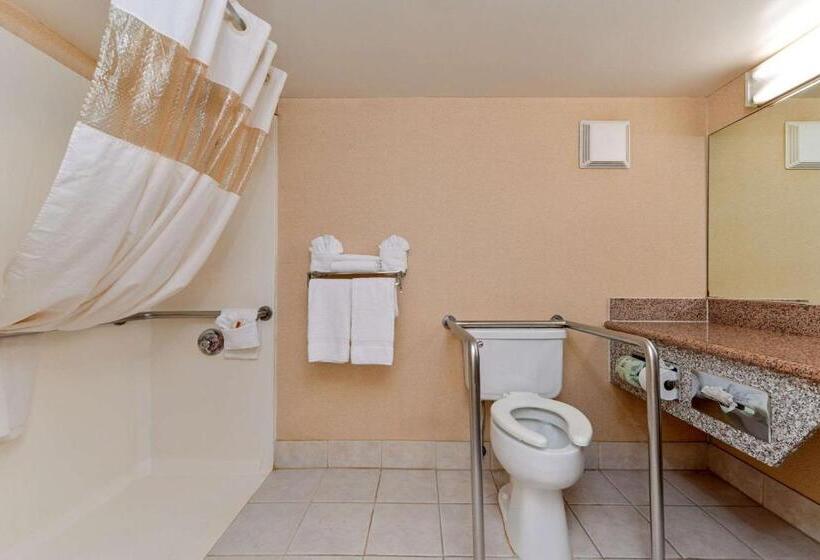 Номер Стандарт Кровать Кинг Адаптированный для Инвалидов, Quality Inn & Suites Walnut City Of Industry