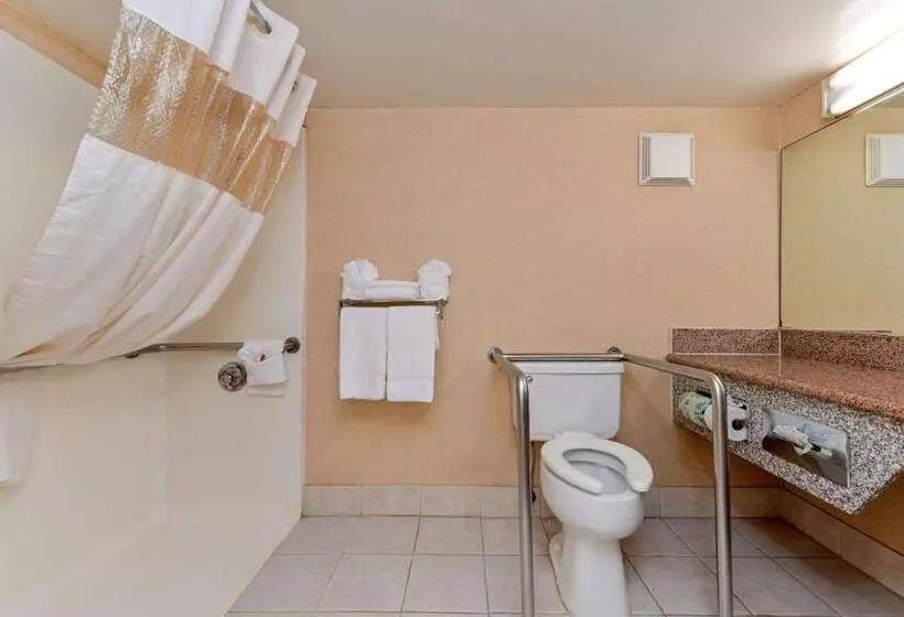 اتاق استاندارد با تخت بزرگ برای معلولان, Quality Inn & Suites Walnut City Of Industry