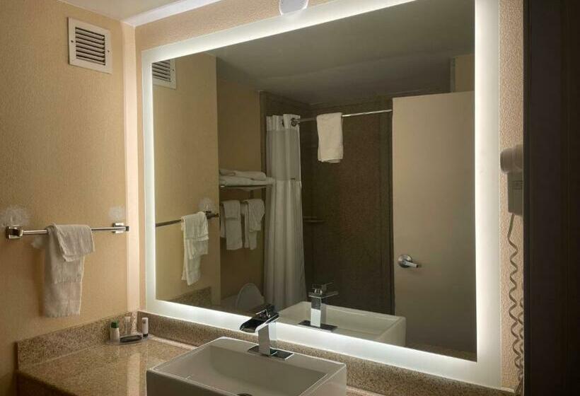 디럭스 스위트 킹 침대, Ramada By Wyndham Harrisburg/hershey Area