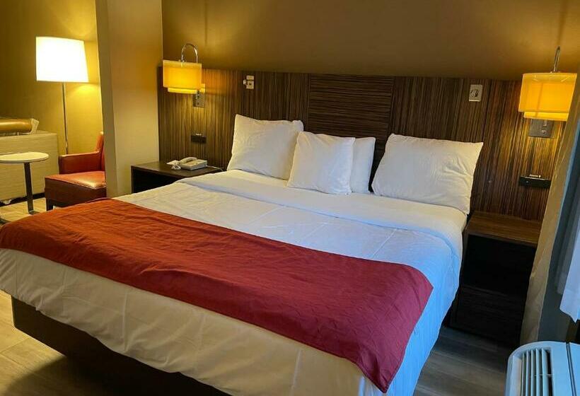 디럭스 스위트 킹 침대, Ramada By Wyndham Harrisburg/hershey Area