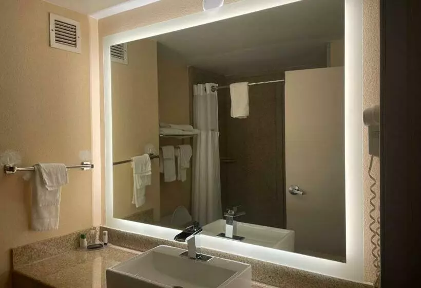 اتاق استاندارد با تخت بزرگ, Ramada By Wyndham Harrisburg/hershey Area
