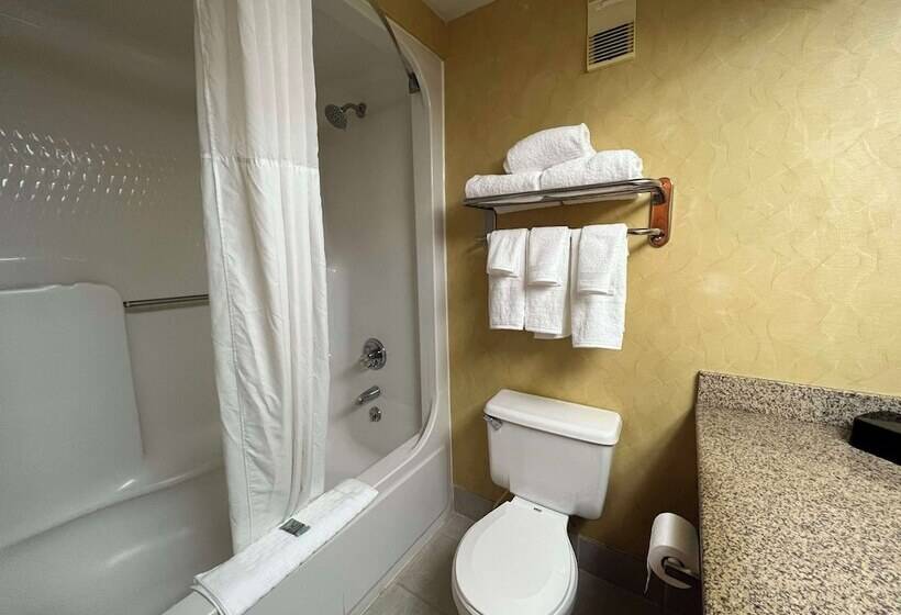 带2个双人床的标准工作室, Best Western Hopkinsville Ky   Brand News