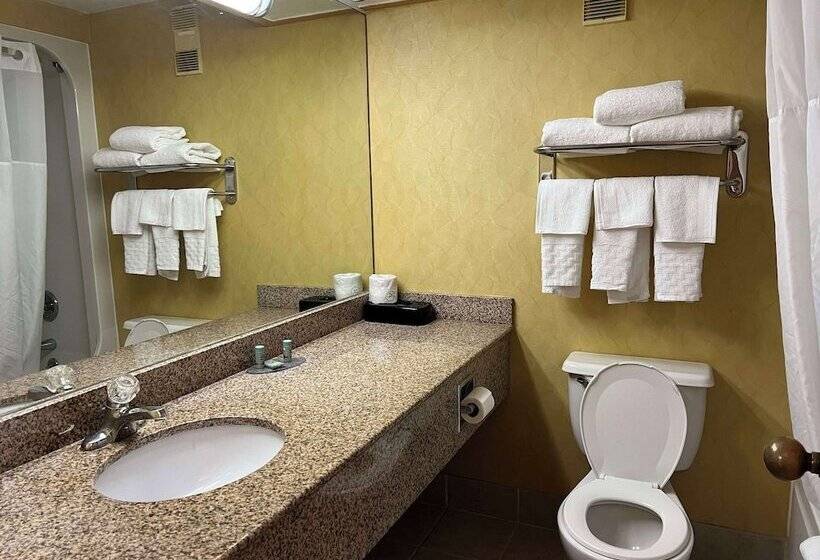 Номер Стандарт 2 Двуспальные Кровати, Best Western Hopkinsville Ky   Brand News