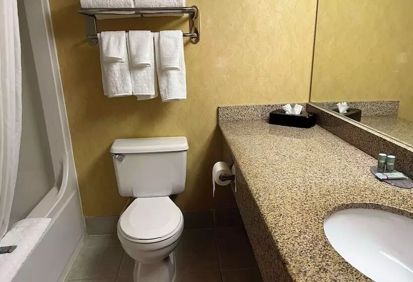 ２ダブルベッドのスタンダードルーム, Best Western Hopkinsville Ky   Brand News