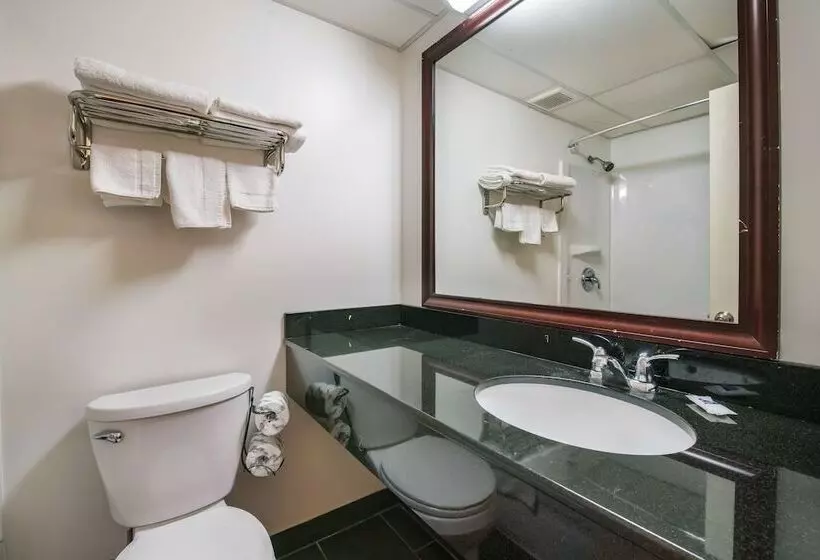 デラックスルーム, Motel 6 Levittown, Pa   Bensalem