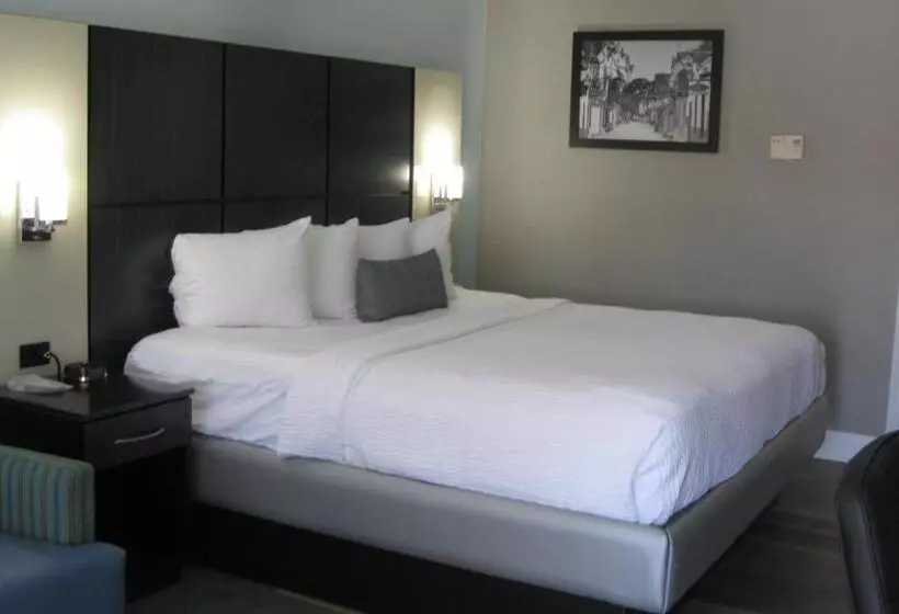 身障者適用キングサイズベッドルーム, Best Western Historical Inn