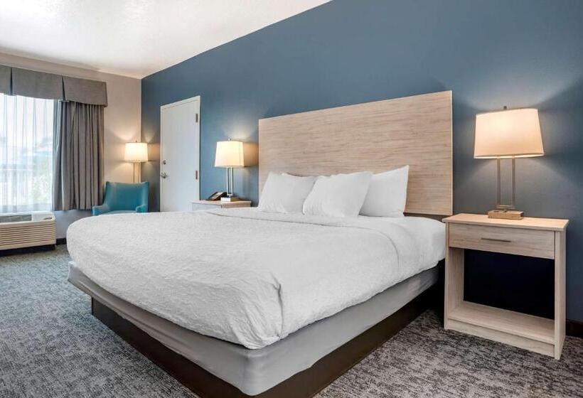 חדר סטנדרט עם מיטת קינג, Best Western Navarre Waterfront