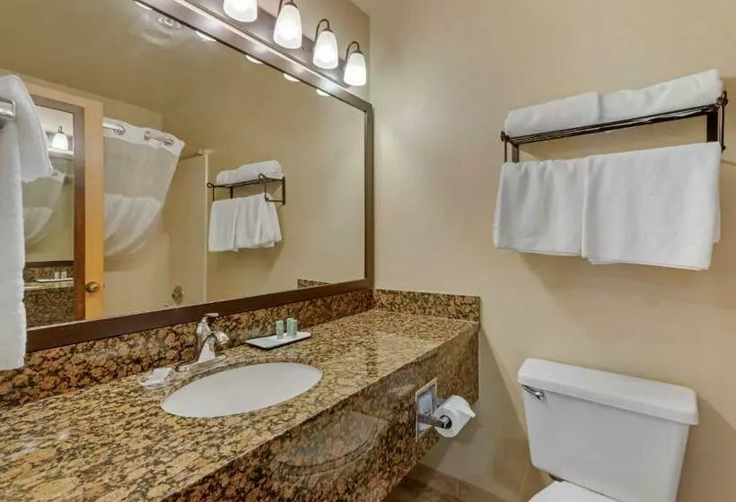 クイーンサイズベッドのスタンダードルーム, Best Western Ponderosa Lodge