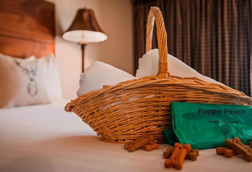 غرفة قياسية, Best Western Ponderosa Lodge