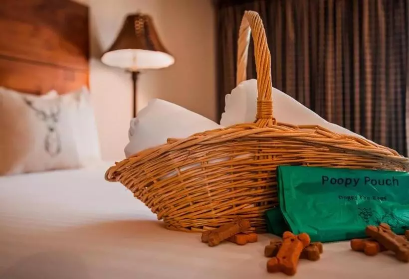 スタンダードルーム, Best Western Ponderosa Lodge