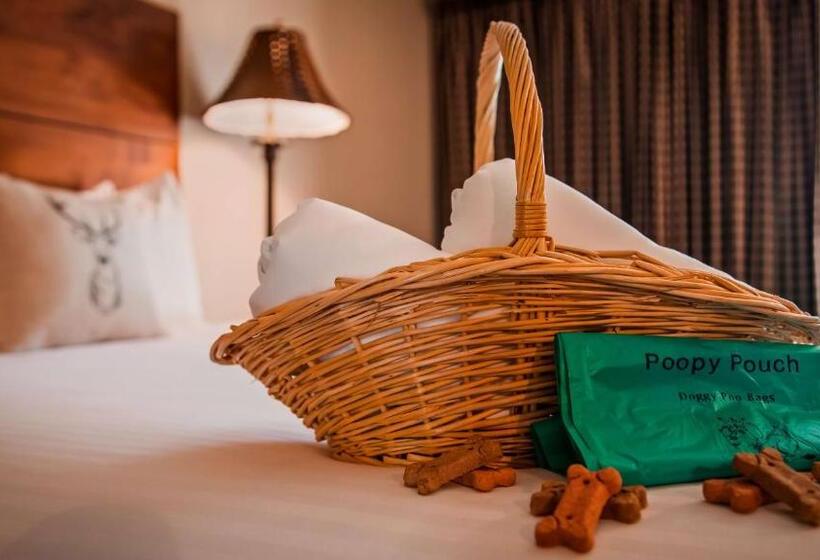 Номер Стандарт, Best Western Ponderosa Lodge