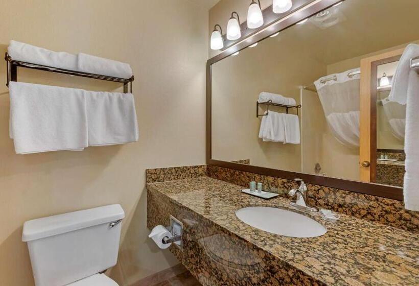 غرفة قياسية لذوى الاحتياجات الخاصة, Best Western Ponderosa Lodge