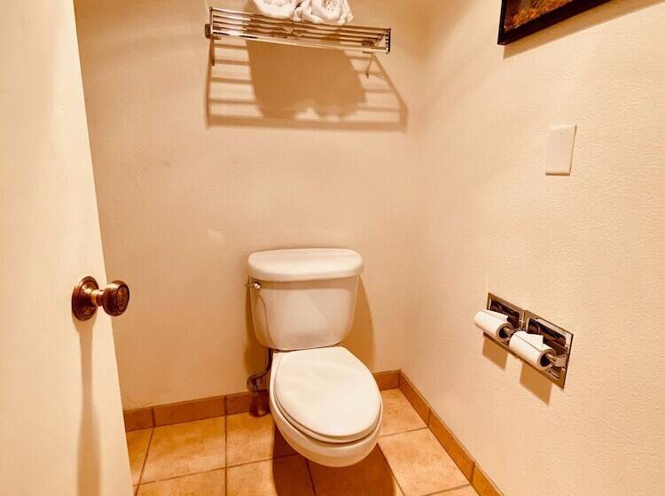 غرفه قياسيه سريرين مزدوجين, Best Western Sheridan Center