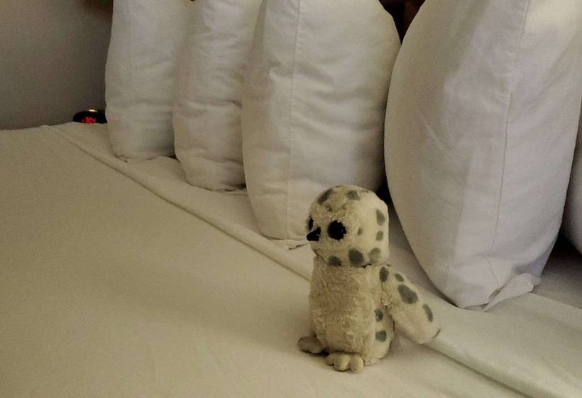 غرفه قياسيه سريرين مزدوجين, Best Western Sheridan Center