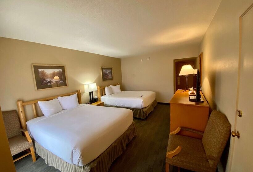 غرفه قياسيه سريرين مزدوجين, Best Western Sheridan Center