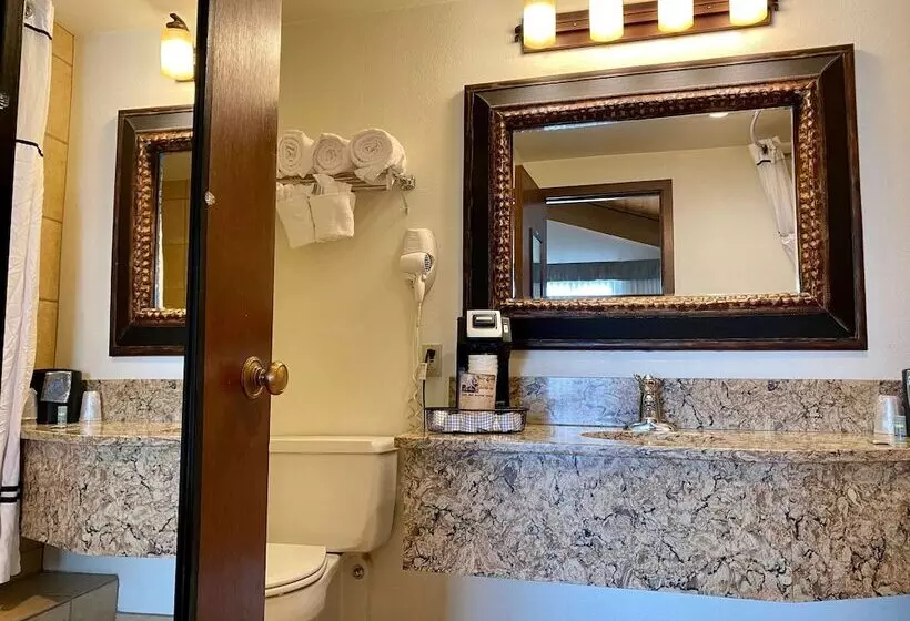 ダブルベッドスタンダードルーム, Best Western Sheridan Center