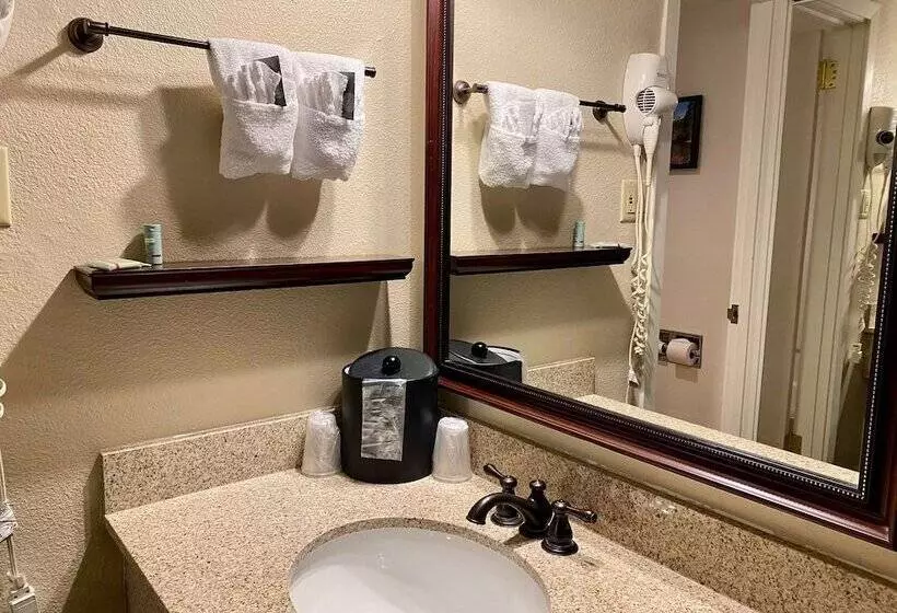 ダブルベッドスタンダードルーム, Best Western Sheridan Center