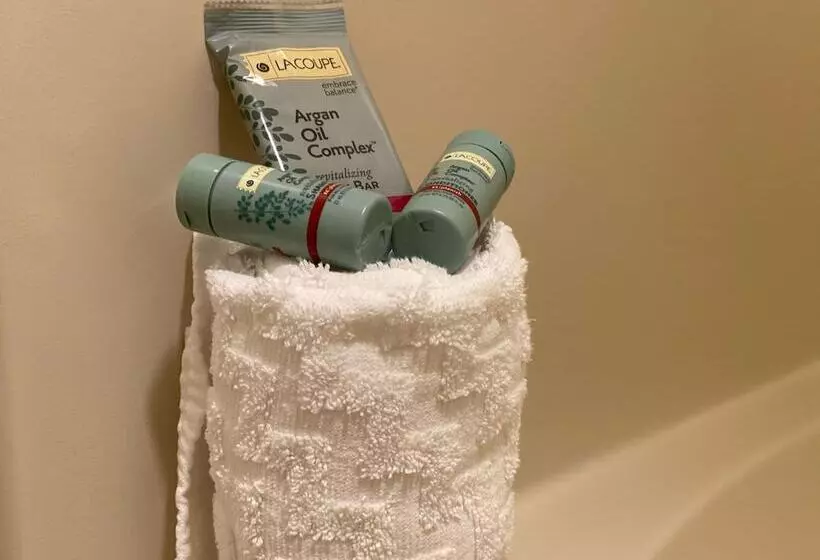 ダブルベッドスタンダードルーム, Best Western Sheridan Center
