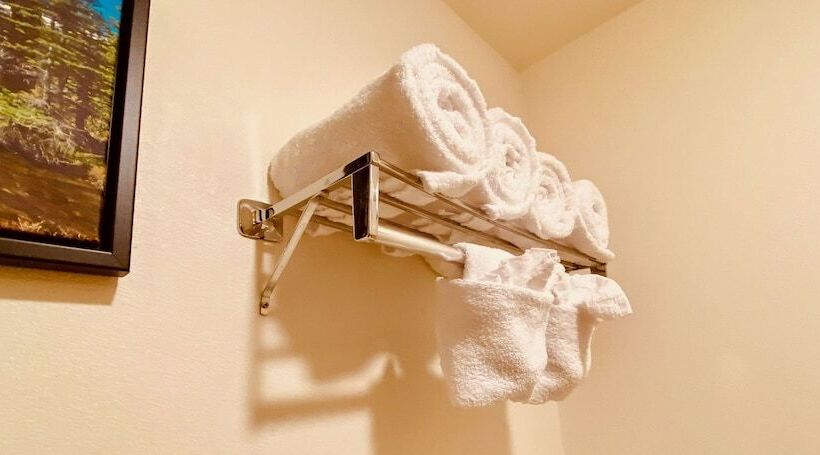 غرفة قياسية سرير مزدوج, Best Western Sheridan Center