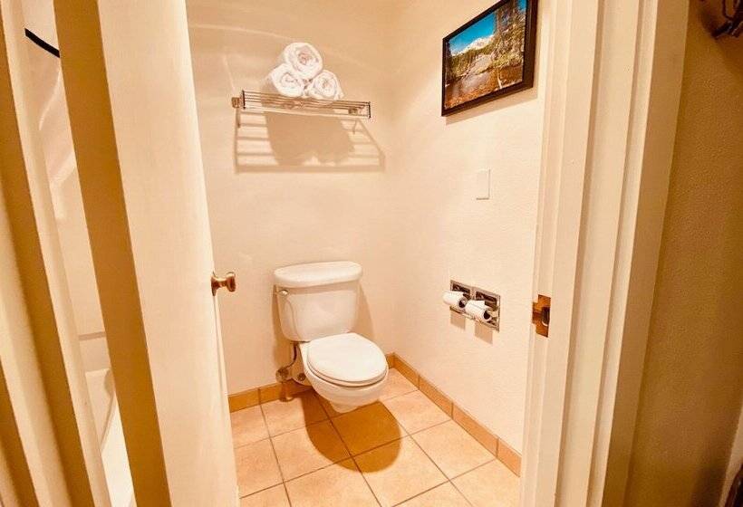 غرفة قياسية سرير مزدوج, Best Western Sheridan Center