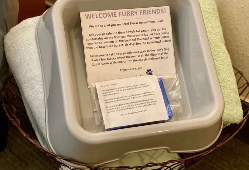 غرفة قياسية سرير مزدوج, Best Western Sheridan Center