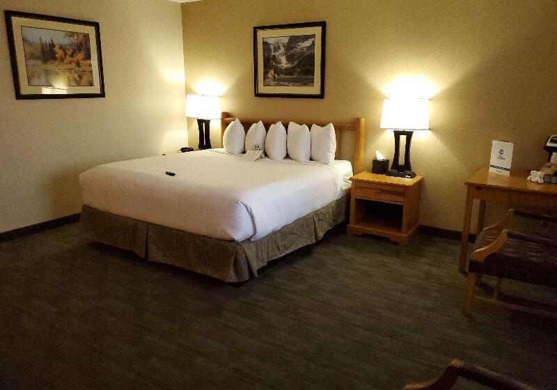غرفة قياسية سرير كينج, Best Western Sheridan Center