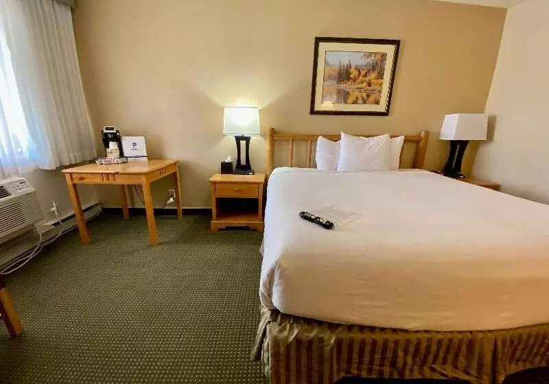 キングサイズベッドのスタンダードルーム, Best Western Sheridan Center