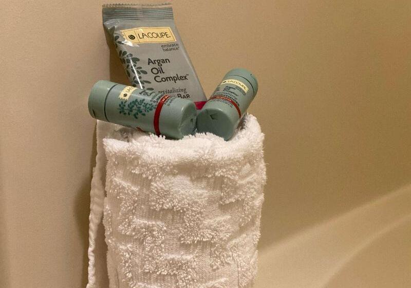 غرفة قياسية سرير كينج, Best Western Sheridan Center