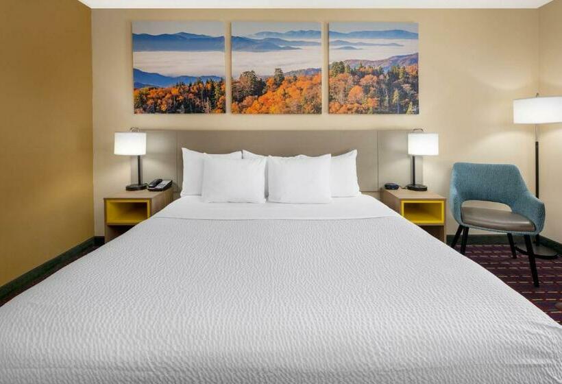 Büyük Çift Kişilik Yataklı Standart Oda, Days Inn By Wyndham Murphy