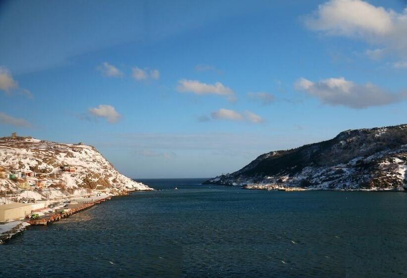 景色の見えるダブルベッドスタンダードルーム, Doubletree By Hilton St. John S Harbourview