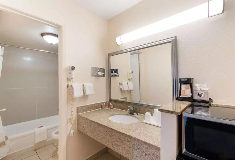 ２ダブルベッドのスタンダードルーム, Econo Lodge North Washington