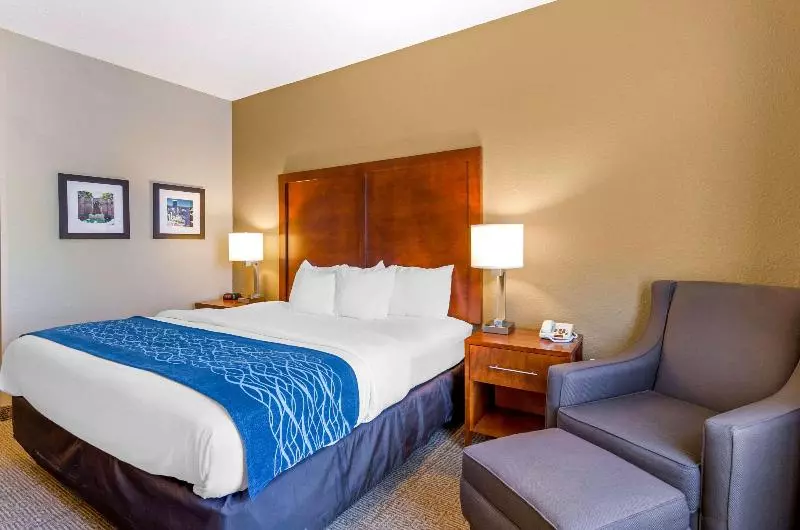 اتاق استاندارد با تخت بزرگ, Gateway Hotel Santa Monica