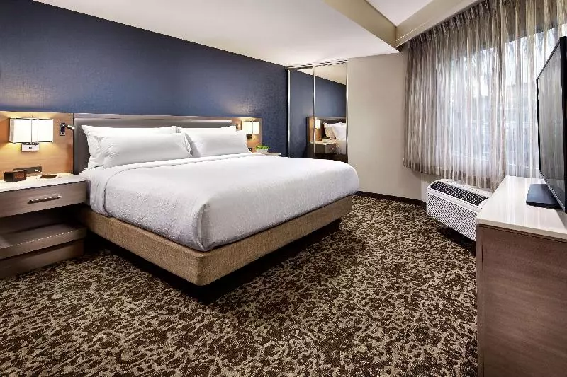 اتاق استاندارد با تخت بزرگ, Hilton Garden Inn San Diego Mission Valley Stadium