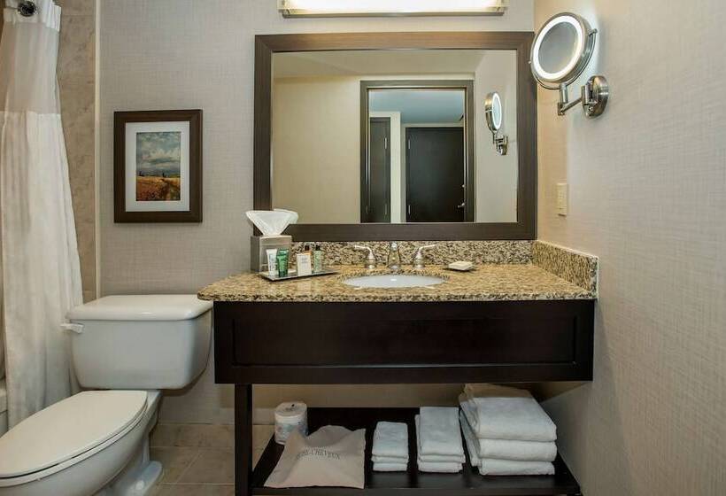 חדר סטנדרט שתי מיטות זוגיות, Hilton Winnipeg Airport Suites