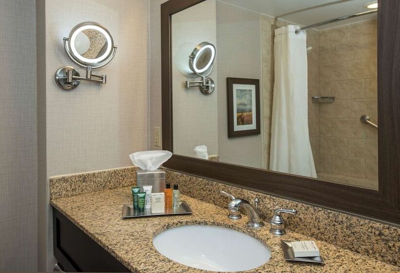 חדר סטנדרט עם מיטת קינג, Hilton Winnipeg Airport Suites