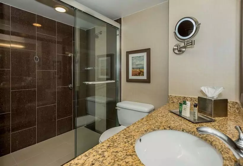اتاق استاندارد با تخت دوبل, Hilton Winnipeg Airport Suites
