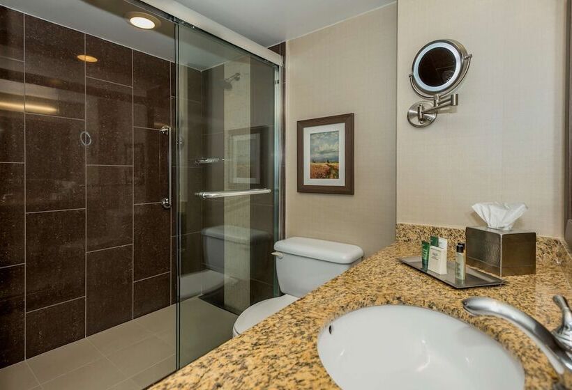 סוויטה אקזקיוטיב, Hilton Winnipeg Airport Suites