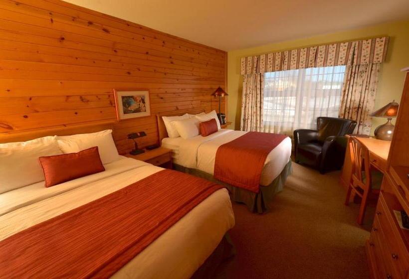 带2个双人床的标准工作室, Hôtel Le Francis