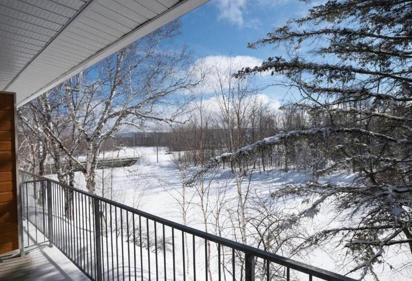 舒适型房间, Hôtel Le Francis