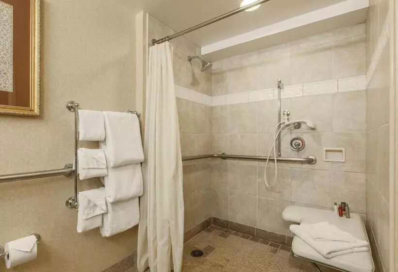 اتاق استاندارد با تخت بزرگ, Sacramento Marriott Rancho Cordova