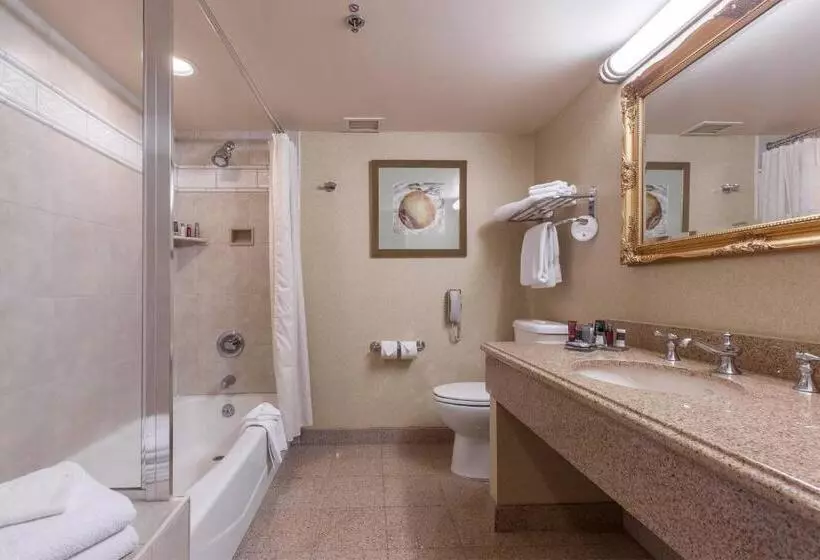 اتاق استاندارد با تخت بزرگ, Sacramento Marriott Rancho Cordova
