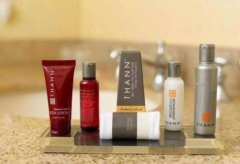 اتاق استاندارد با تخت بزرگ, Sacramento Marriott Rancho Cordova